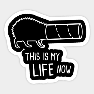 Cute And Funny Pet Hedgehog Graphic Sticker